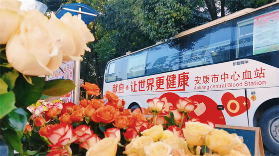 安康這三兄妹，熱血！