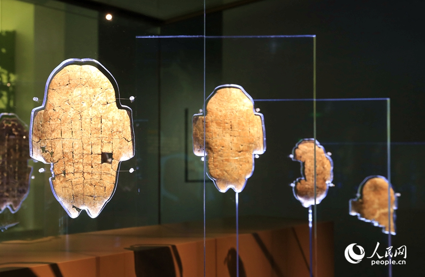 殷墟博物館展出的甲骨文。人民網(wǎng)記者 慎志遠(yuǎn) 攝