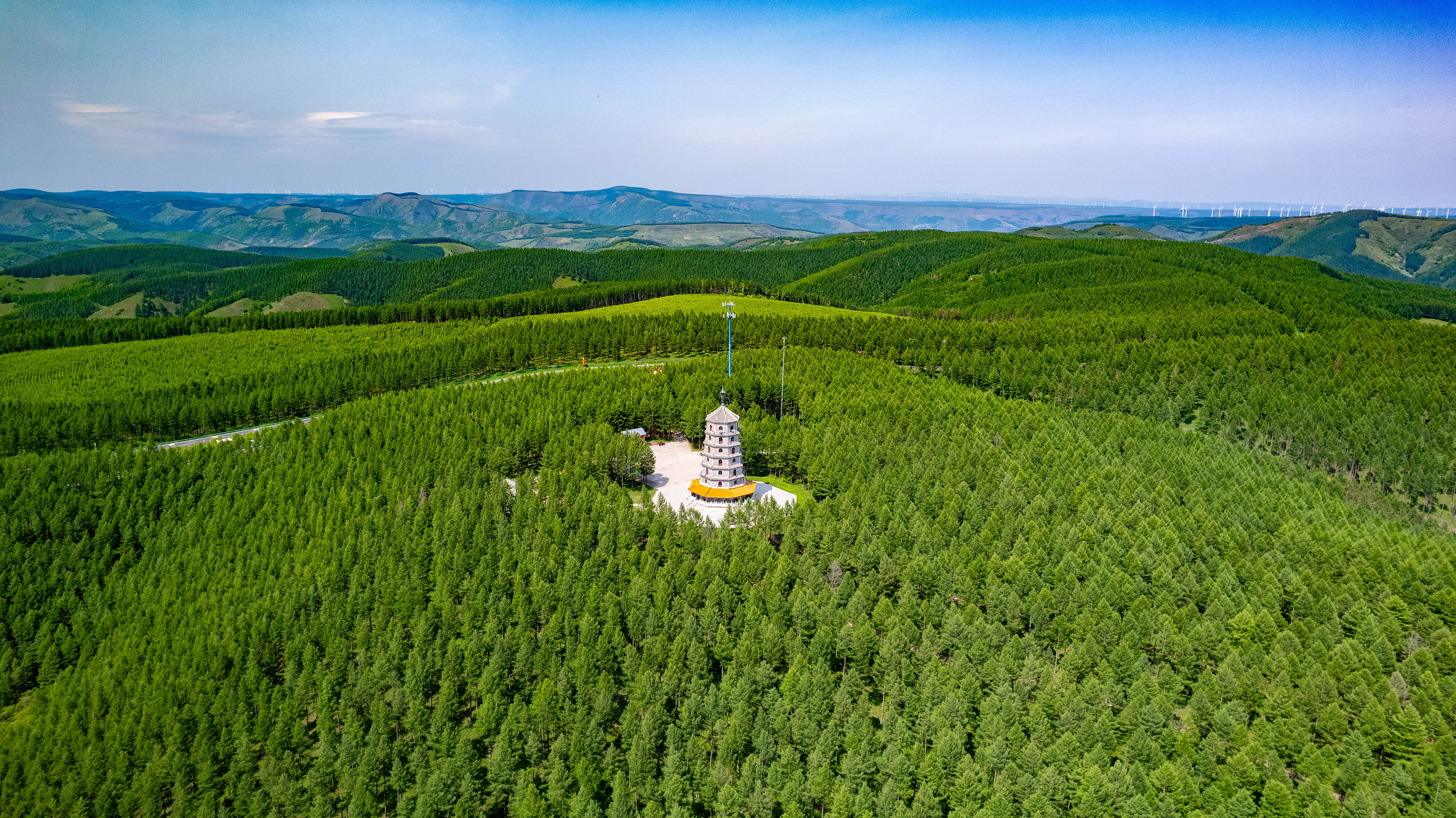 2025年6月11日，河北承德，塞罕壩林海浩渺。